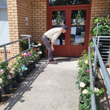 Business For Sale - NSW - Cooma - 2630 - Moontree Health & Organic Supermarket Long-Established Cooma Icon  (Image 2)