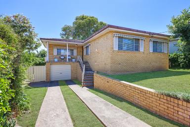 House For Sale - NSW - Tamworth - 2340 - FIRST HOME BUYERS OR INVESTOR ALERT!  (Image 2)