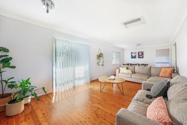 House For Sale - NSW - Tamworth - 2340 - FIRST HOME BUYERS OR INVESTOR ALERT!  (Image 2)