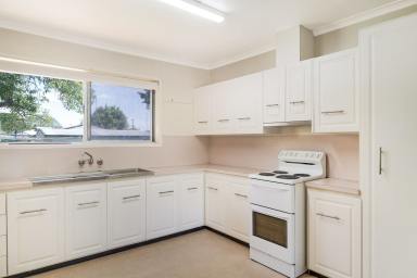 House For Lease - QLD - East Toowoomba - 4350 - Spacious Family Living in Sought-After East Toowoomba (Image 2)