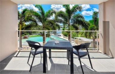 Studio Leased - QLD - Pelican Waters - 4551 - Headline Goes Here  (Image 2)
