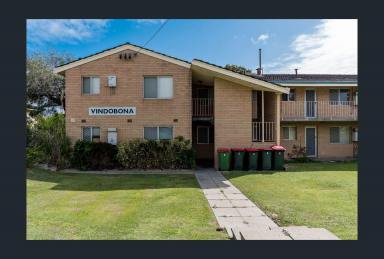 Unit For Sale - WA - Maylands - 6051 - Maylands Hidden Gem (Image 2)