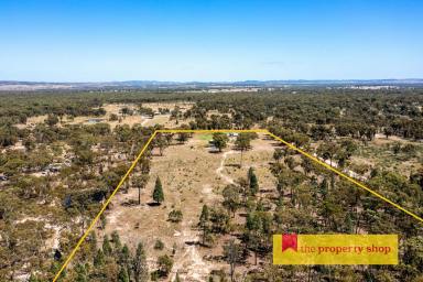 Lifestyle For Sale - NSW - Mudgee - 2850 - RURAL LIVING WITH ENDLESS POTENTIAL  (Image 2)