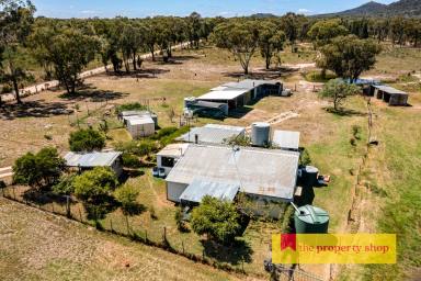 Lifestyle For Sale - NSW - Mudgee - 2850 - RURAL LIVING WITH ENDLESS POTENTIAL  (Image 2)
