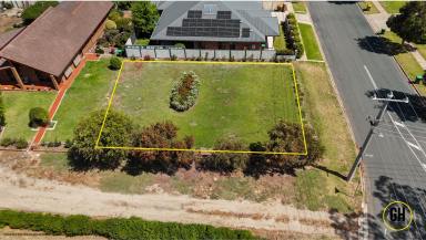 Residential Block For Sale - VIC - Swan Hill - 3585 - Prime Position Near the Murray River (Image 2)