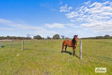 House For Sale - VIC - Stradbroke - 3851 - "COREECE PARK" - 60 ACRES (Image 2)