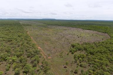 Livestock For Sale - NT - Douglas-daly - 0822 - RENOWNED BREEDING PLATFORM & CROPPING DEVELOPMENT OPPORTUNITY (Image 2)