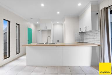 Duplex/Semi-detached Auction - QLD - White Rock - 4868 - Solid Block Half Duplex | Low-Maintenance & Move-In Ready  (Image 2)