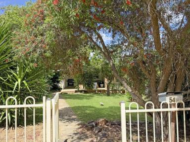 House Sold - NSW - Young - 2594 - A Private Southside Sanctuary on Yass Street  (Image 2)