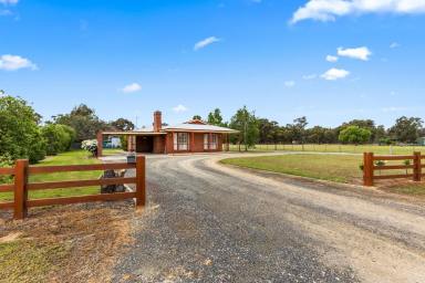 House For Sale - VIC - Huntly - 3551 - Country Living with Everyday Ease  (Image 2)