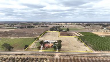 Farmlet For Sale - VIC - Woorinen - 3589 - The Ultimate Lifestyle Property on 7 Acres (Image 2)