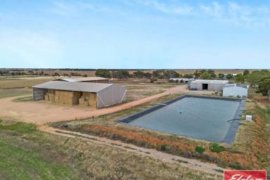 Other (Rural) For Sale - SA - Mallala - 5502 - Fantastic Set Up On 143 Acres  (Image 2)