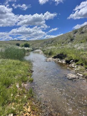 Other (Rural) For Sale - NSW - Golspie - 2580 - Prime Grazing Opportunity on Golspie Road  (Image 2)