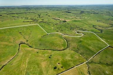 Other (Rural) For Sale - NSW - Golspie - 2580 - " The River " at Golspie ,
Sound Grazing opportunity with abundant Water!  (Image 2)