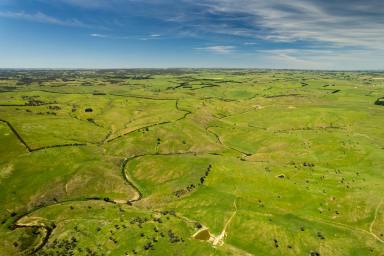 Other (Rural) For Sale - NSW - Golspie - 2580 - Prime Grazing Opportunity on Golspie Road  (Image 2)