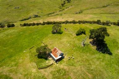 Other (Rural) For Sale - NSW - Golspie - 2580 - Prime Grazing Opportunity on Golspie Road  (Image 2)