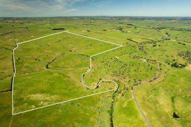 Other (Rural) For Sale - NSW - Golspie - 2580 - " The River " at Golspie ,
Sound Grazing opportunity with abundant Water!  (Image 2)