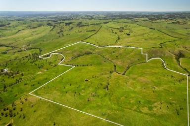 Other (Rural) For Sale - NSW - Golspie - 2580 - Prime Grazing Opportunity on Golspie Road  (Image 2)