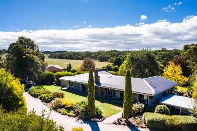 Lifestyle For Sale - VIC - Fish Creek - 3959 - Premier Coastal Lifestyle & Income Opportunity  (Image 2)