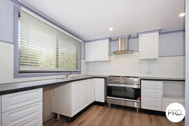 House For Lease - NSW - North Albury - 2640 - 2 BEDROOM HOME WITH GREAT SIZE YARD!  (Image 2)