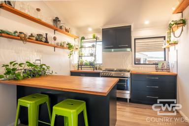 Lifestyle For Sale - NSW - Pindaroi - 2361 - Unrivalled Lifestyle – Minutes from Pindari Dam, Home of the Mighty Murray Cod (Image 2)