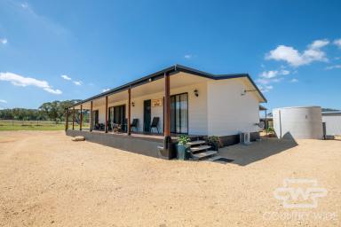 Lifestyle For Sale - NSW - Pindaroi - 2361 - Unrivalled Lifestyle – Minutes from Pindari Dam, Home of the Mighty Murray Cod  (Image 2)