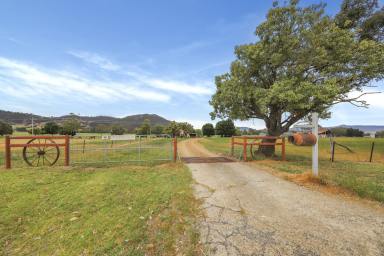 House Auction - NSW - Tumut - 2720 - "Riverview Auction"  (Image 2)