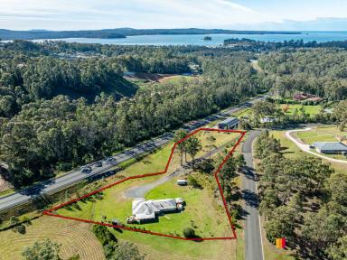 House For Sale - NSW - Catalina - 2536 - ROOM FOR ALL THE FAMILY  (Image 2)