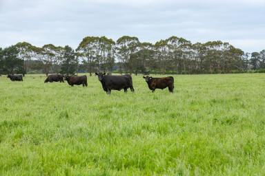 Mixed Farming For Sale - VIC - Woolsthorpe - 3276 - OUTSTANDING VERSATILITY – INVESTMENT OPPORTUNITY (Image 2)