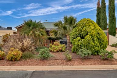 House For Sale - NSW - Buronga - 2739 - Immaculate Townhouse with extras (Image 2)