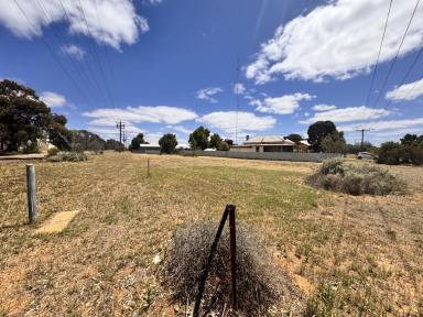 Residential Block For Sale - VIC - Murrayville - 3512 - Yes, a $15k block of land!  (Image 2)