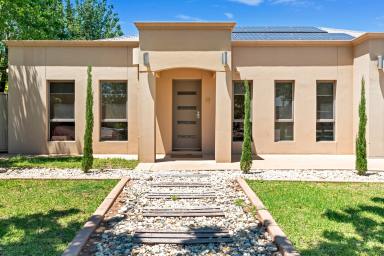 House For Sale - VIC - Mildura - 3500 - Ideal for locals & Investors - 13 Kane Drive, Mildura  (Image 2)