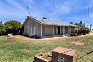 House For Sale - VIC - Irymple - 3498 - Ideal First Home or Investment Opportunity in Irymple  (Image 2)