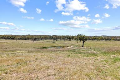 Mixed Farming For Sale - NSW - Bellmount Forest - 2581 - Escape And Head For The Hills  (Image 2)