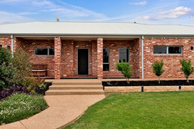 House For Sale - VIC - Red Cliffs - 3496 - A Contemporary Retreat Perfect for Growing Families  (Image 2)