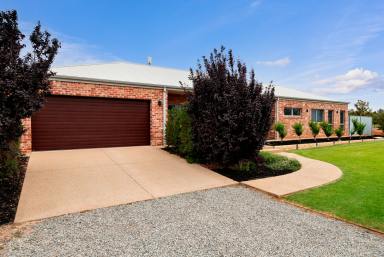 House For Sale - VIC - Red Cliffs - 3496 - A Contemporary Retreat Perfect for Growing Families  (Image 2)