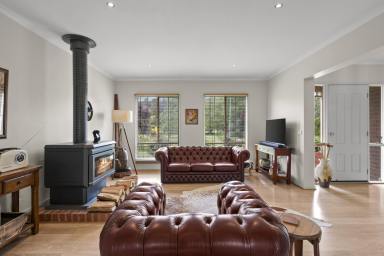 Lifestyle For Sale - VIC - Strathbogie - 3666 - "Dumbarton" - The Ultimate Strathbogie Tablelands Lifestyle (Image 2)