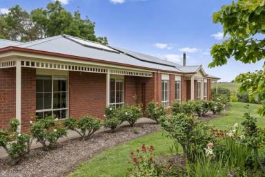 Lifestyle For Sale - VIC - Strathbogie - 3666 - "Dumbarton" - The Ultimate Strathbogie Tablelands Lifestyle  (Image 2)