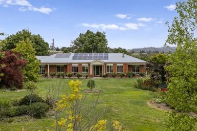 Lifestyle For Sale - VIC - Strathbogie - 3666 - "Dumbarton" - The Ultimate Strathbogie Tablelands Lifestyle  (Image 2)