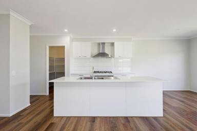 House For Lease - VIC - Axedale - 3551 - Spacious Family Home with Shed  (Image 2)