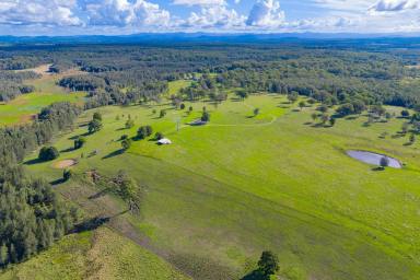 Residential Block For Sale - NSW - Bellimbopinni - 2440 - A Combined 66 Hectares of Prime Farming & Grazing Country  (Image 2)