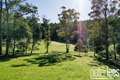 Residential Block For Sale - TAS - Frankford - 7275 - Sunny Lifestyle Acreage Offering Peace, Privacy & Potential  (Image 2)