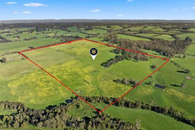 Lifestyle For Sale - VIC - Elliminyt - 3250 - MAGNIFICENT COLAC – ELLIMINYT CITY FRINGE ACREAGE (Image 2)