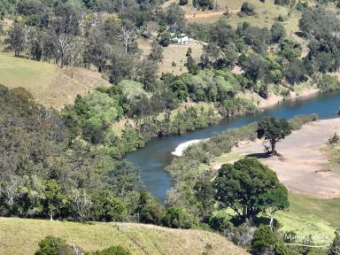 Lifestyle For Sale - NSW - Kimbriki - 2429 - Relax, Rewind & Reimagine – Land, Livestock & Lifestyle Await (Image 2)