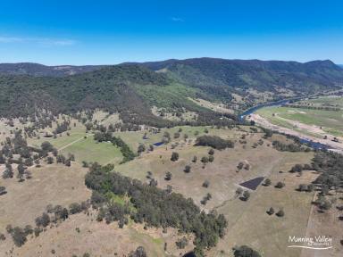 Lifestyle For Sale - NSW - Kimbriki - 2429 - Relax, Rewind & Reimagine – Land, Livestock & Lifestyle Await (Image 2)
