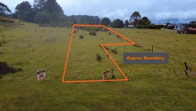 Residential Block For Sale - TAS - Waratah - 7321 - 53 English Street, Waratah 1707m² Village Zone Allotment  (Image 2)