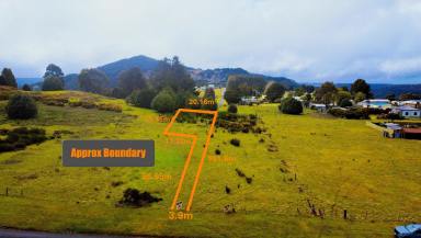Residential Block Sold - TAS - Waratah - 7321 - 55 English Street, Waratah – Spacious Village Block  (Image 2)