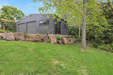 House For Sale - SA - Ashton - 5137 - A Stylish '67 Hills Gem! Renovated, Scenic & Packed with Premium Extras  (Image 2)