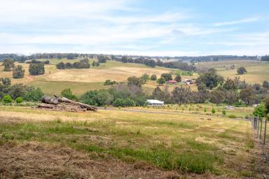 Residential Block For Sale - WA - Bridgetown - 6255 - A Canvas of Country Dreams in Four Seasons Estate  (Image 2)