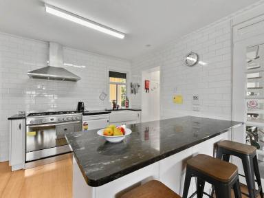 House For Sale - TAS - Norwood - 7250 - FAMILY HAVEN  (Image 2)